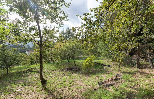 Suite Familiar Conheca O Minho E Descanse Em Plena Natureza - Foto 20