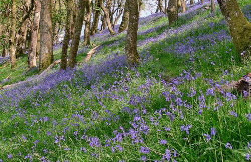 4 Bed in Llanrwst oc-52111 - Foto 7