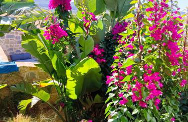 Villa Eugenia - Foto 34