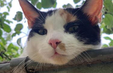 Strandlust Döbeln - Bungalow für eine gemütliche Auszeit zu jeder Jahreszeit - Foto 33