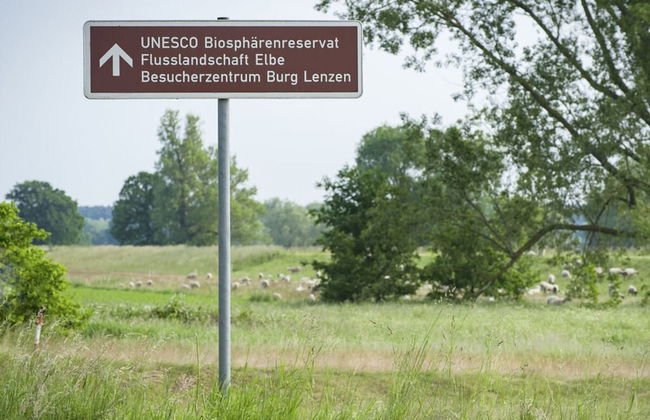 Elbwiesenhaus Modern Retreat - Foto 32