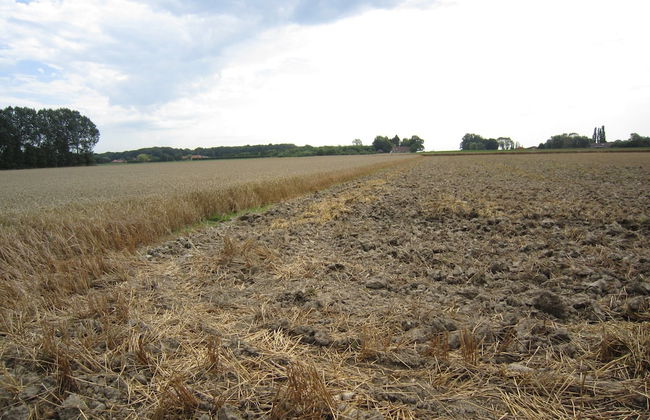 Tranquil Home With BBQ - Photo 25