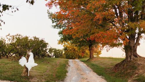 Historic Farm Cottage on 800-Acre Orchard - Foto 2
