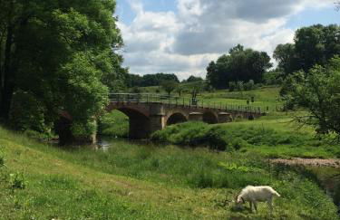 Meine Ferienwohnung Pleissenhaus - Foto 6