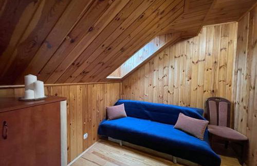 BESKIDIUM - uroczy dom Brenna - Foto 30