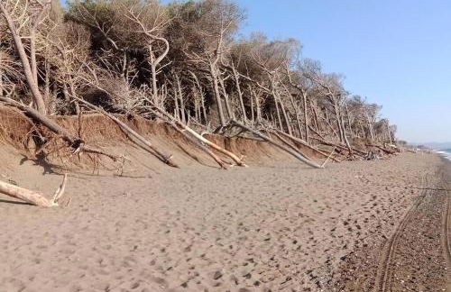 Casa Rosa Marina di Cecina - Foto 21