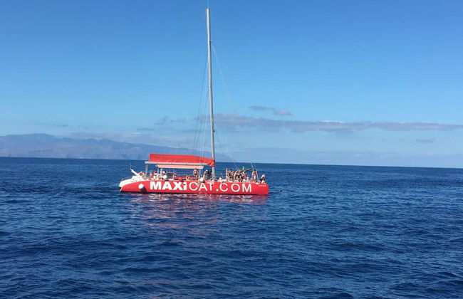 South Tenerife Cruise - Photo 1