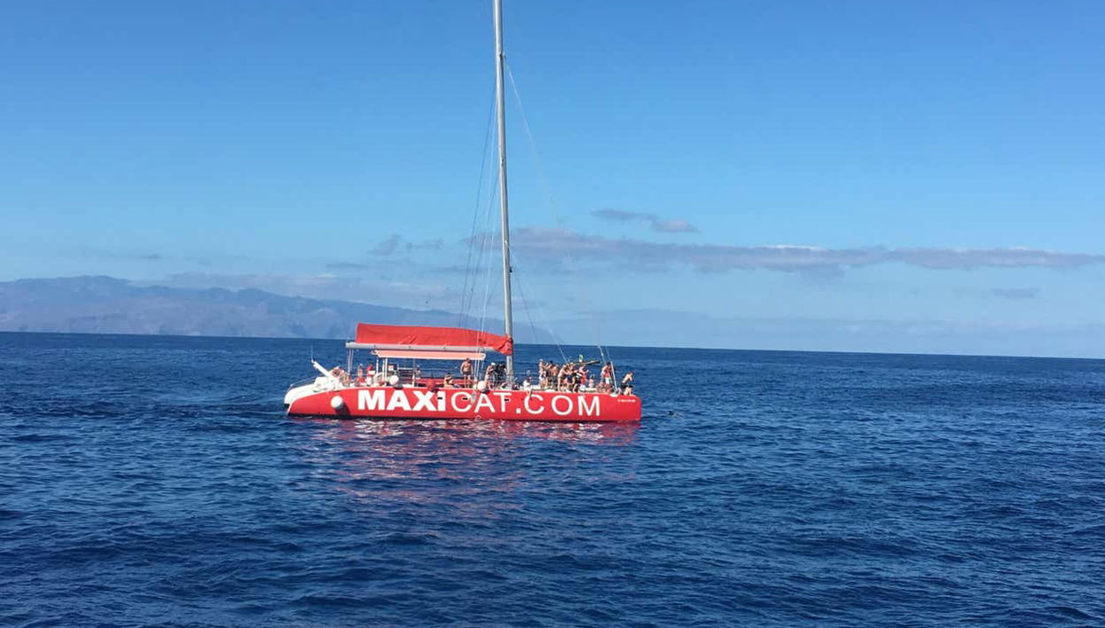 Catamaran ride in Tenerife