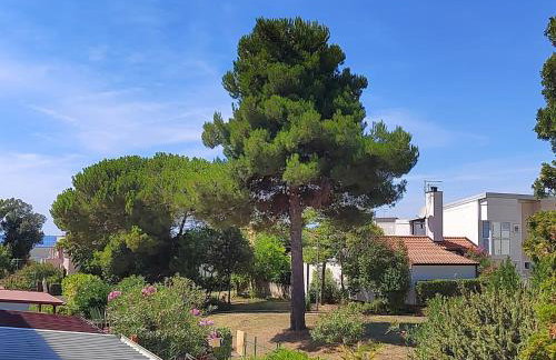 Apartment Golden Sun Mareda Novigrad, Istria, Croatia - Photo 38