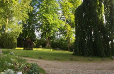 Herrenhaus Hohewarte - Foto 19