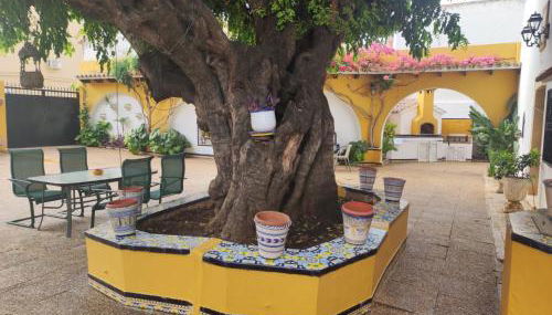 Precioso chalet con gran algarrobo y piscina privada - Foto 4