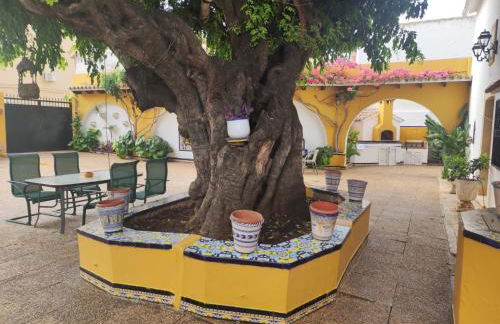 Precioso chalet con gran algarrobo y piscina privada - Foto 4