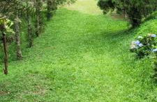 Sítio com Casa de Madeira com 2 quartos 100m2 px Centro de Salesópolis - Foto 24