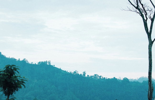 Bobocabin Kintamani - Photo 27