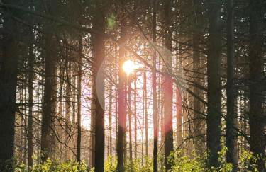 Ferienwohnung Ankerplatz - Foto 53