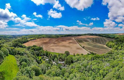 Tresillian Lodge Waterfront, Forest, Hot tub,Sauna - Foto 9