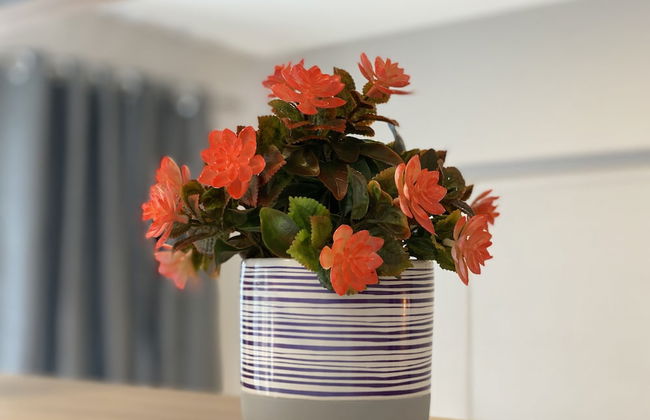 MBV - Anora Spaces . Flats Bela Vista - Foto 33