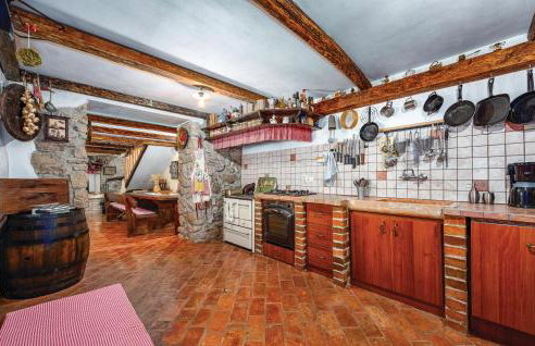 Holiday Home Kozljak With Fireplace 02 - Foto 18