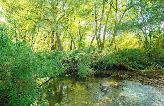 Family Paradise: Exquisite Retreat For Holidays - Foto 47