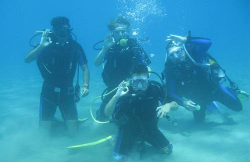 Paradise Studios - Foto 79