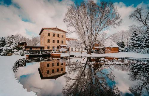 Stary Młyn w Brzeźnicy - Foto 62