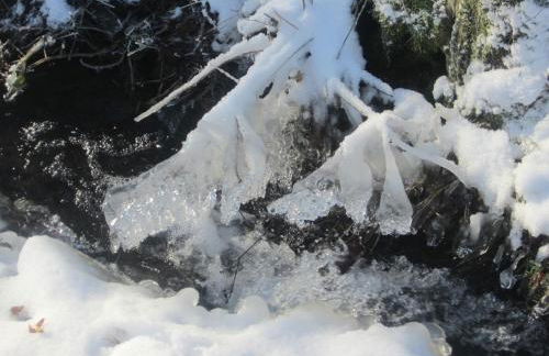 Ferienwohnung Mause - Foto 24