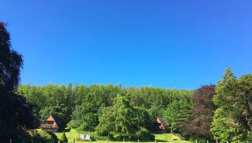 Pine Lodge - Uk7049 - Photo 3