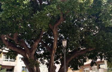 CentroBeach Apartment Fuengirola 250m from Beach - Foto 30