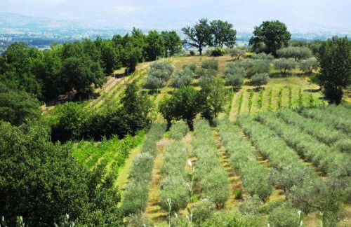 Villa Colle di Rocco - Photo 35