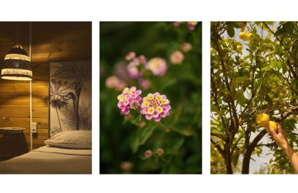 Eudaimonia Wooden Suites Nafplio Kandia - Foto 40