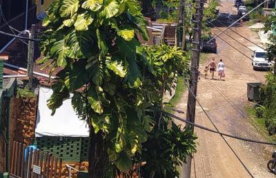 Cobertura na Enseada a 80 m da areia - Foto 35