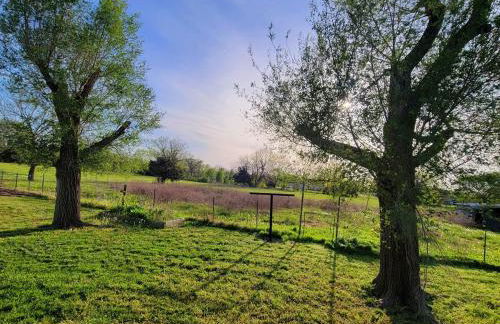 Grandma's House at Rosewood Lodge - Foto 17