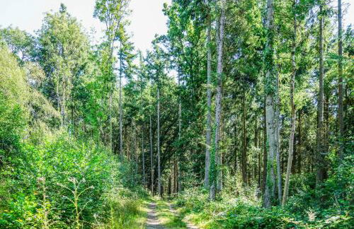 Foxglove Lodge - Uk50876 - Foto 14