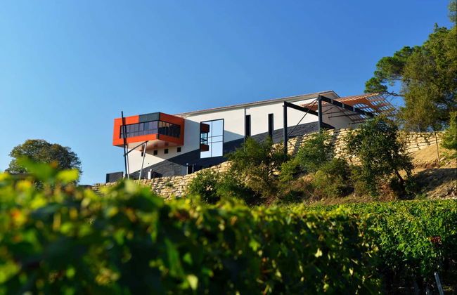 Visite de caves à vin Saint-Émilion - Photo 3