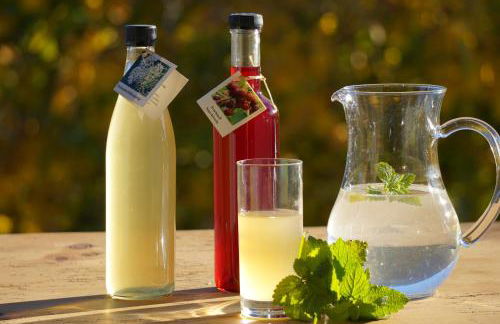 Waalhof Ferienwohnung Apfelblüte - Foto 30