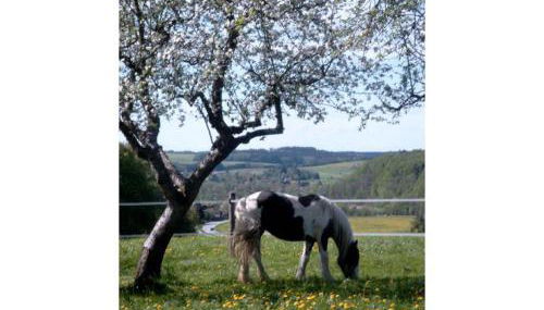 Ferienwohnung Held - Photo 4