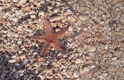 Apartments Luna - Photo 35