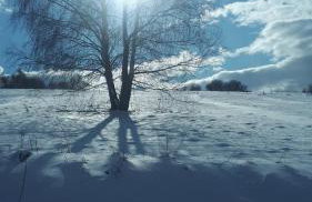 Agroturystka Dom w Owocowym Sadzie - Foto 14