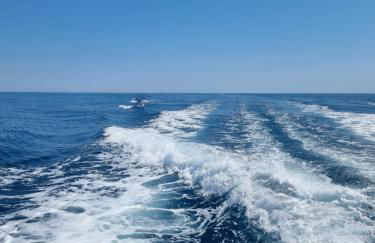 L'escale du capitaine - Foto 26