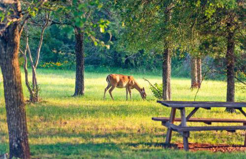 2br Texas Countryside Home w Hot Tub - Foto 4
