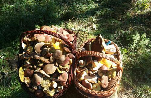 Dom w Górach Sowich Niedźwiedzia Gawra, Michałkowa - Foto 79