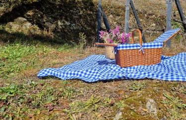 Casa das Marucas - Foto 6