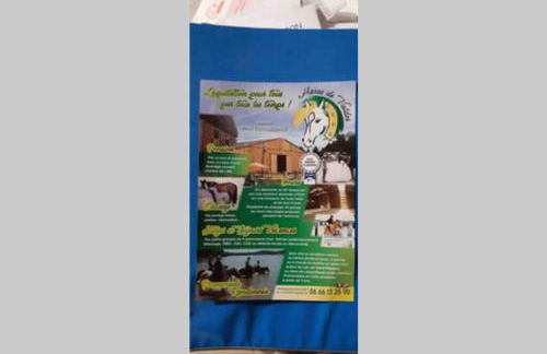 F1 noir/anis, avec terrasse couverte et jardin (E) - Foto 16