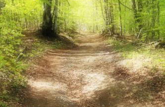 Holiday Home für 4 Personen ca- 65 m² in Brod Moravice- Gespanschaft Primorje-Gorski - G by Interhome - Foto 15