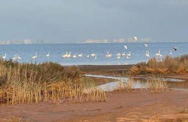 Studio Cielo- pool, wi-fi & more - Foto 44