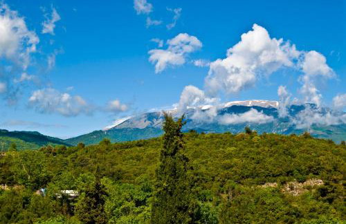 Dioni Houses - Foto 17