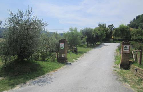 Agriturismo le Spighe - Fattoria Bertaccini - Foto 11