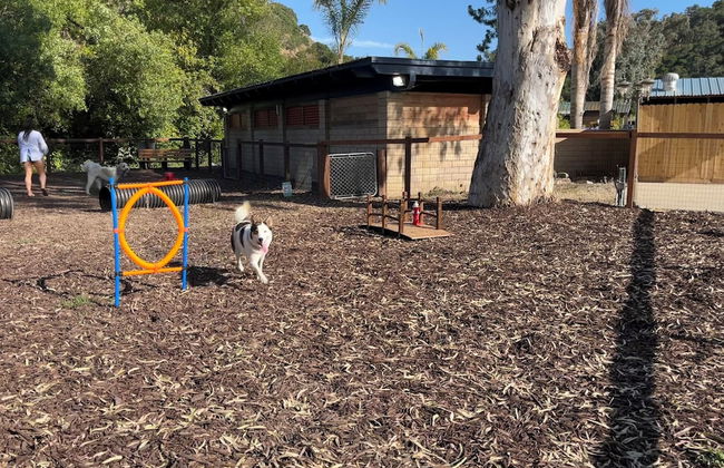 Avila Pismo RV Resort and Campground - Foto 34