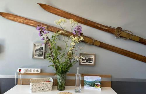 Penthouse Apartment 28m² in Avoriaz right next to 3 ski lifts, lake view - Foto 29