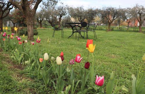 Ottimo punto per visitare la Toscana - Foto 23